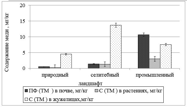 assets/images/content/article-3/release-18/2-1.jpg